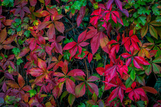 1688942 (a): :2000x1329